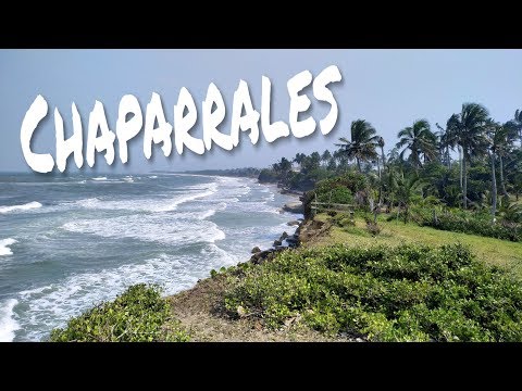 download lagu mp3 mp4 Chaparrales, download mp3 Chaparrales free download mp3, download mp3 Chaparrales