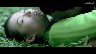 经典的章子怡&刘德华野战【十面埋伏】 video