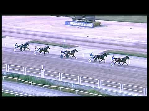 Trotto 21/08/2020 - 2ª prova di qualifica