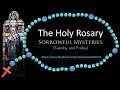 The Holy Rosary - Sorrowful Mysteries (pray along video)