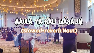 Maula Ya Salli Wa Sallim Daiman Abadan (Slow+Reverb Naat) Arabic Nasheed | Free Copyright