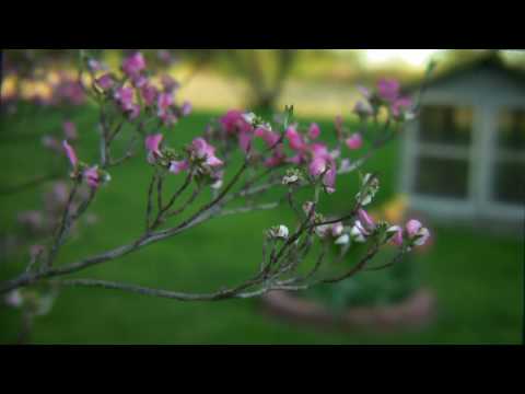 35mm Adapter Rev.3 on Canon HF11