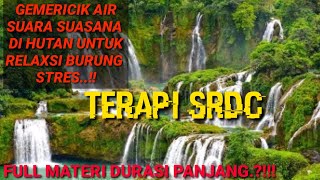 Download lagu TERAPI SRDC AGAR CEPAT BUNYI,Plus suara gemericik air,suara srdc gacor untuk masteran mp3 Download lagu TERAPI SRDC AGAR CEPAT BUNYI,Plus suara gemericik air,suara srdc gacor untuk masteran mp3