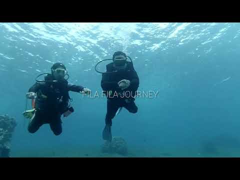 SCUBA DIVING WAKATOBI, ⅼ️ⅼ️  Fun Dive at Ali Reef ⅼ️ⅼ️ TOMIA ISLAND