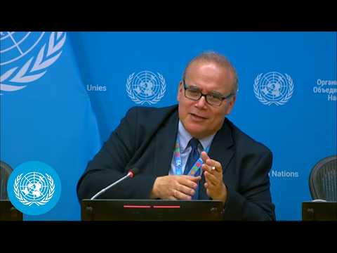 Video Thumbnail: 1 in 3 People Cannot Afford a Healthy Diet - Press Conference | United Nations