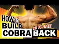 (New!) How To Build A Cobra Back At Home (no pull up & rows)