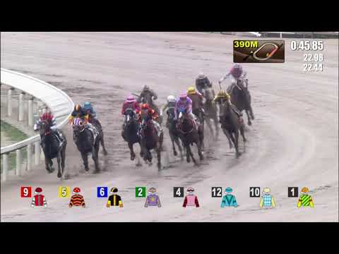 10/10/2021 (84) Little Bird - C Schofield