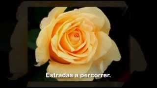 É PRECISO CANTAR - Angela Machado