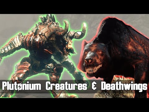 Miniature de la vidéo