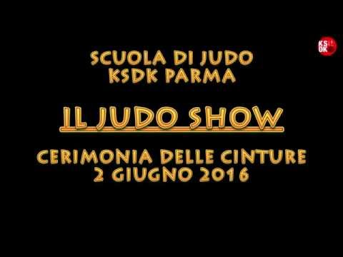 Judo Show 2016