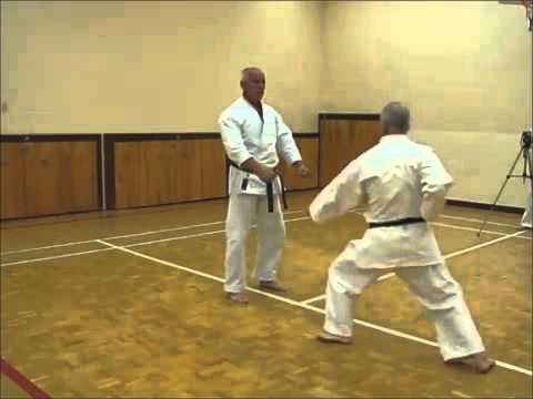 1  Kihon Ipon Kumite  Chudan