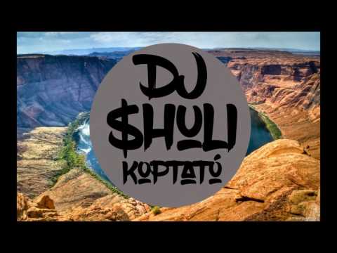 DJ $HuliKoptató-Házrengető bokorba bujtató Mix