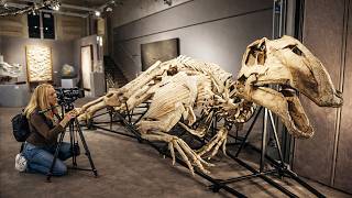 DESCOBERTAS FÓSSEIS que Vão Mudar Sua Visão Sobre o Passado — Animais Pré-históricos