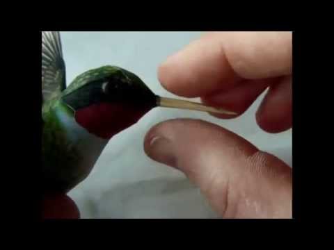 How to make the paper Hummingbird