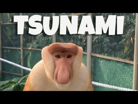 TSUNAMI - Proboscis Monkey Remix