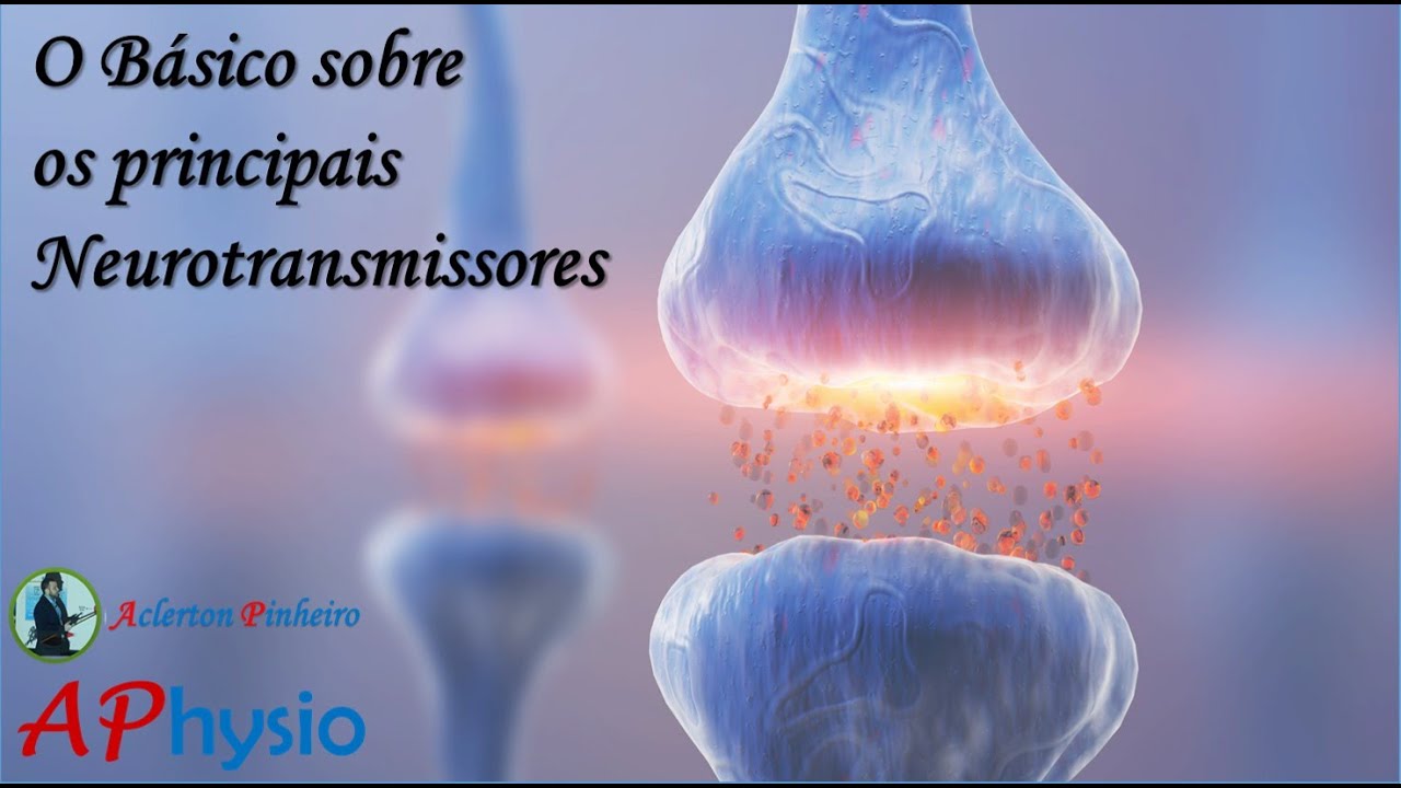 O Básico sobre os principais Neurotransmissores