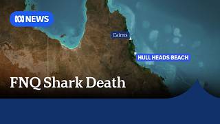 39-year-old man dies in shark attack off Queensland coast