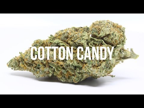 Cotton Candy Weed