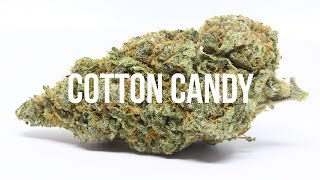 Cotton Candy Strain Review - International Highlife