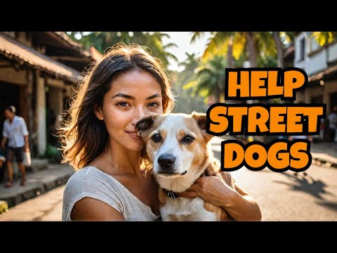 Help Bali Street Dogs | Join the K9Crusader