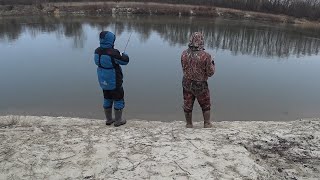 Ссылка