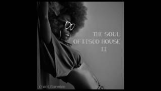Disco and Soulful House Mix 2 (2017)
