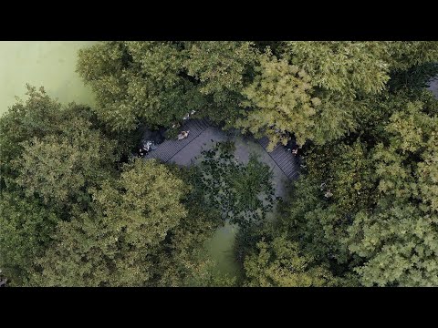 Holzweiler SS24 - Rewilding