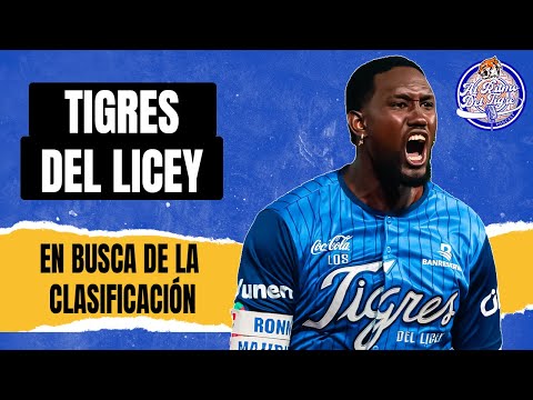 Tigres del Licey struggle to win consecutive games.