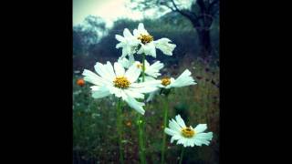 Phil Bensen - Not Good Enough