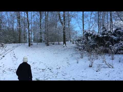 Snow in Frankfurt - Germany 2016