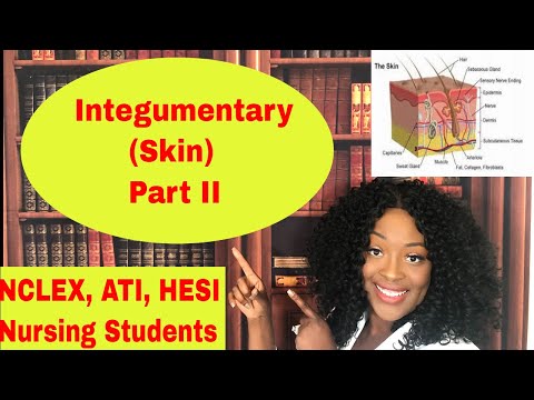 Integumentary Part 2