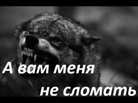 #музыка #А вам меня не сломать