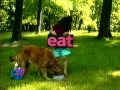 PBS Kids My Dog Can Read 2002 WFWA