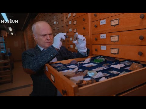 Découvrez les métiers du Muséum national d'Histoire naturelle