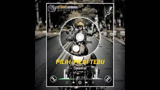 Download lagu LAGU ALAS TERBARU || PILIH PILIH TEBU || SYAWAL mp3