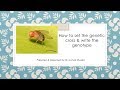 #How to set the cross #What is the balancer? Biology