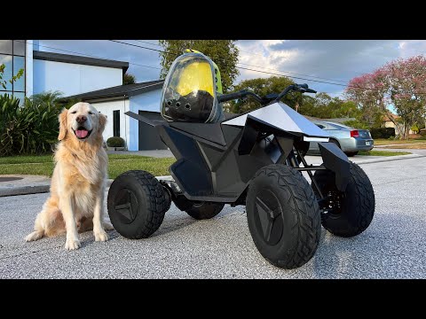 THE ULTIMATE DOG WALKING VEHICLE!