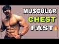 Muscular Chest Fast |Top Exercise For Muscular Chest|