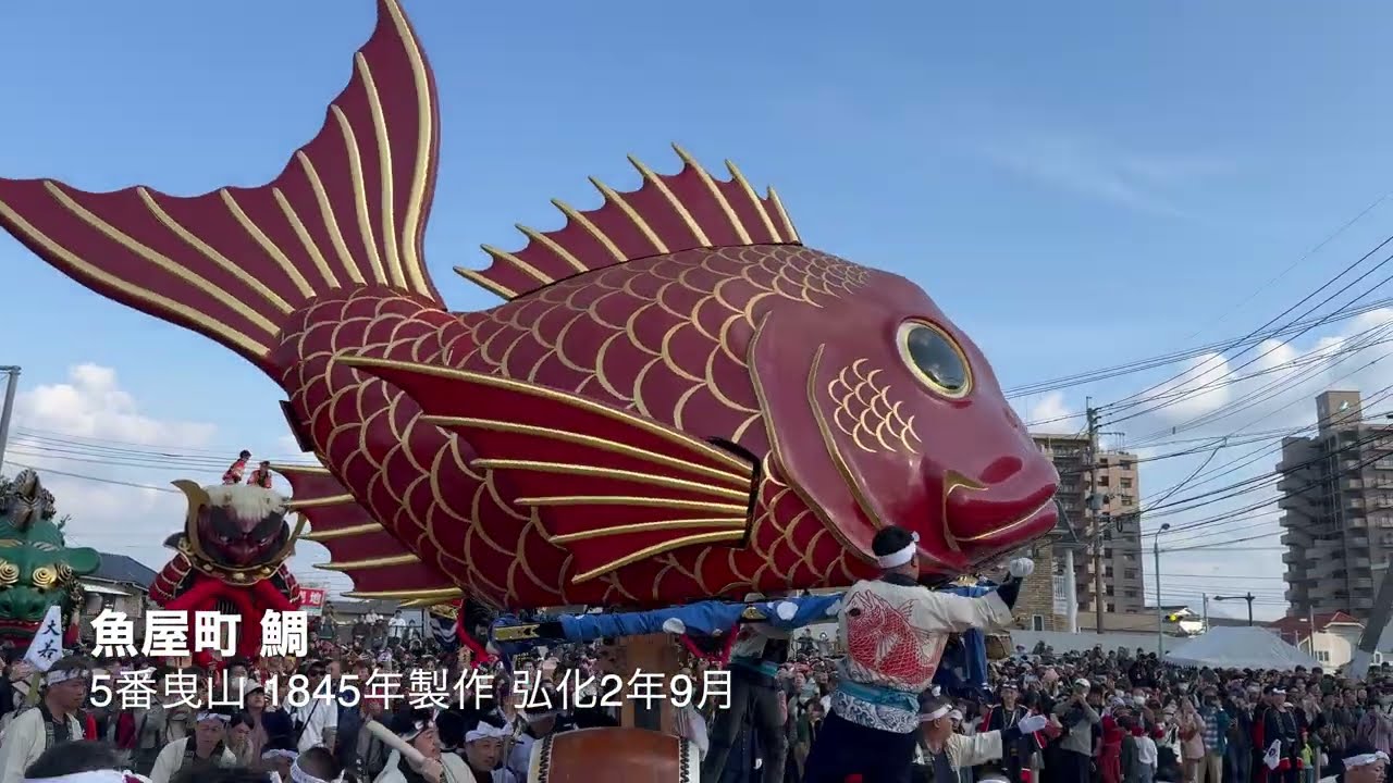 唐津くんち 2025 御旅所神幸 曳き出し 4K 令和７年 引き出し 魚屋町鯛１８０年祭 メデタイ