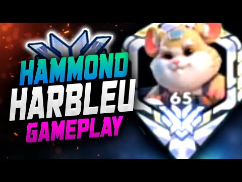 Harbleu Zarya and Hammond gameplay on Route 66! [ Overwatch Season 31 Top 500 ]