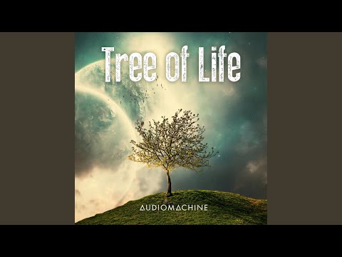 Prelude of Dreams (Bonus Track)