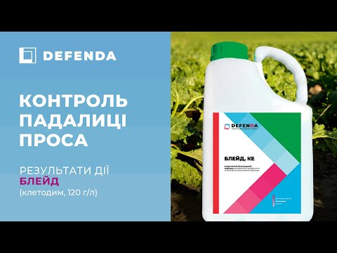 Гербицид Блейд (Клетодим 120 г/л) DEFENDA 10 л - фото 1 - id-p2099434562