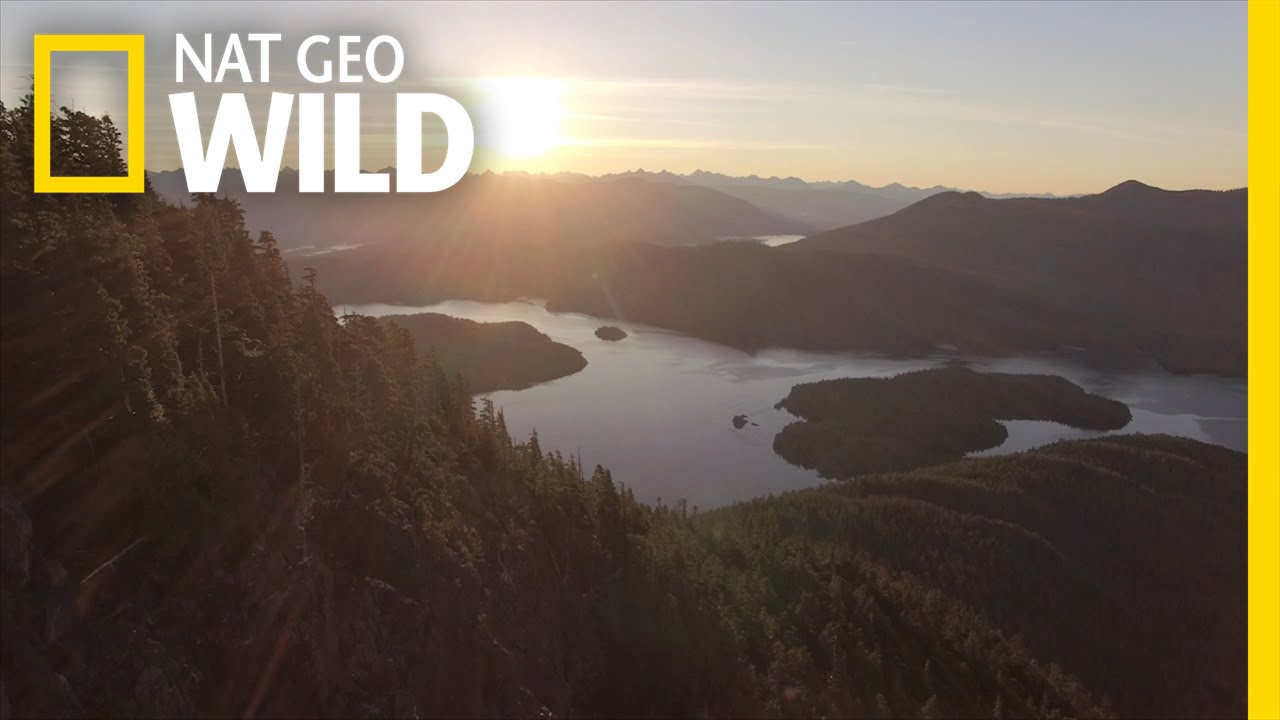 Vancouver Island: A Wild World
