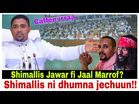 Shimallis ni dhumna jechuun Jawar fi Jaal Marroof?/14/2/2026 AGM