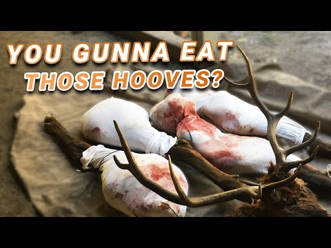 WILD GAME Field Care - Tips Based on A Decade of Packing Out ELK MEAT