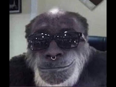 16Y.O(YMSTVENO OTSTALYI)