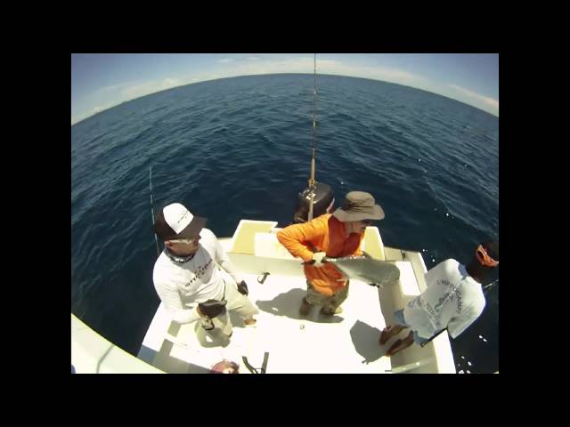 Tropical Fishing in Madagascar