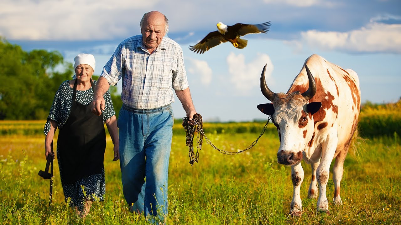 Happy old age of an elderly couple in a village cast far from civilization