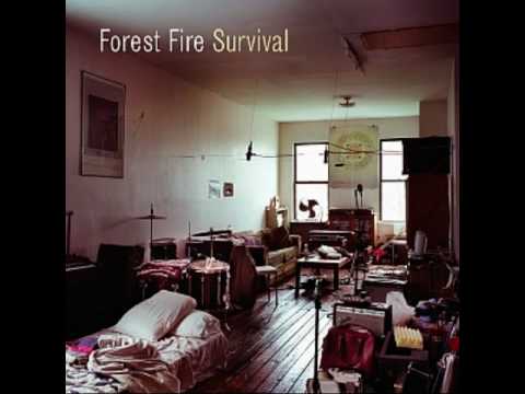 I Make Windows - Forest Fire
