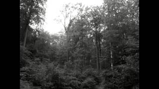 Helheim - Vigrids Vaard